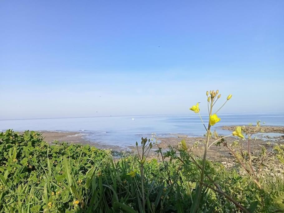 Soleil D'Opale Et Son Grand Jardin Villa Wimereux Ngoại thất bức ảnh